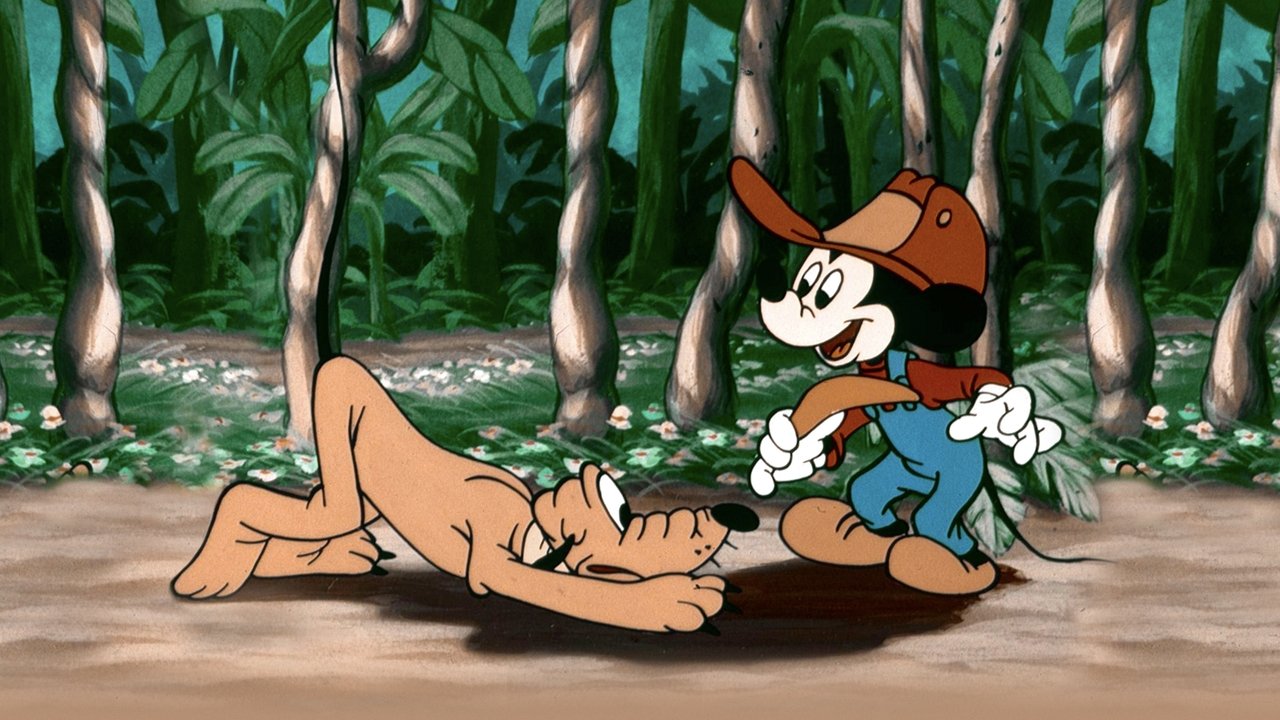 Myszka Miki w Australii