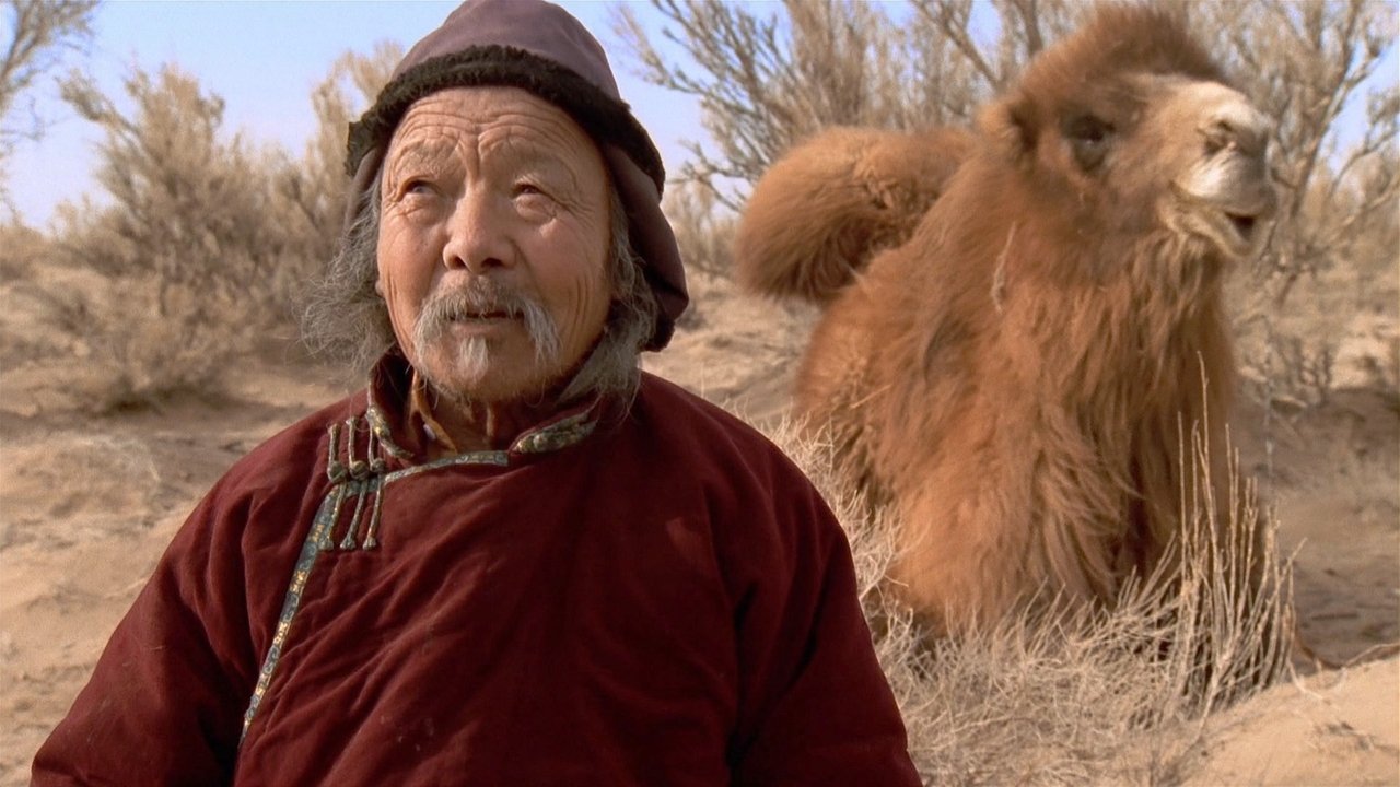 Opowieść o płaczącym wielbłądzie