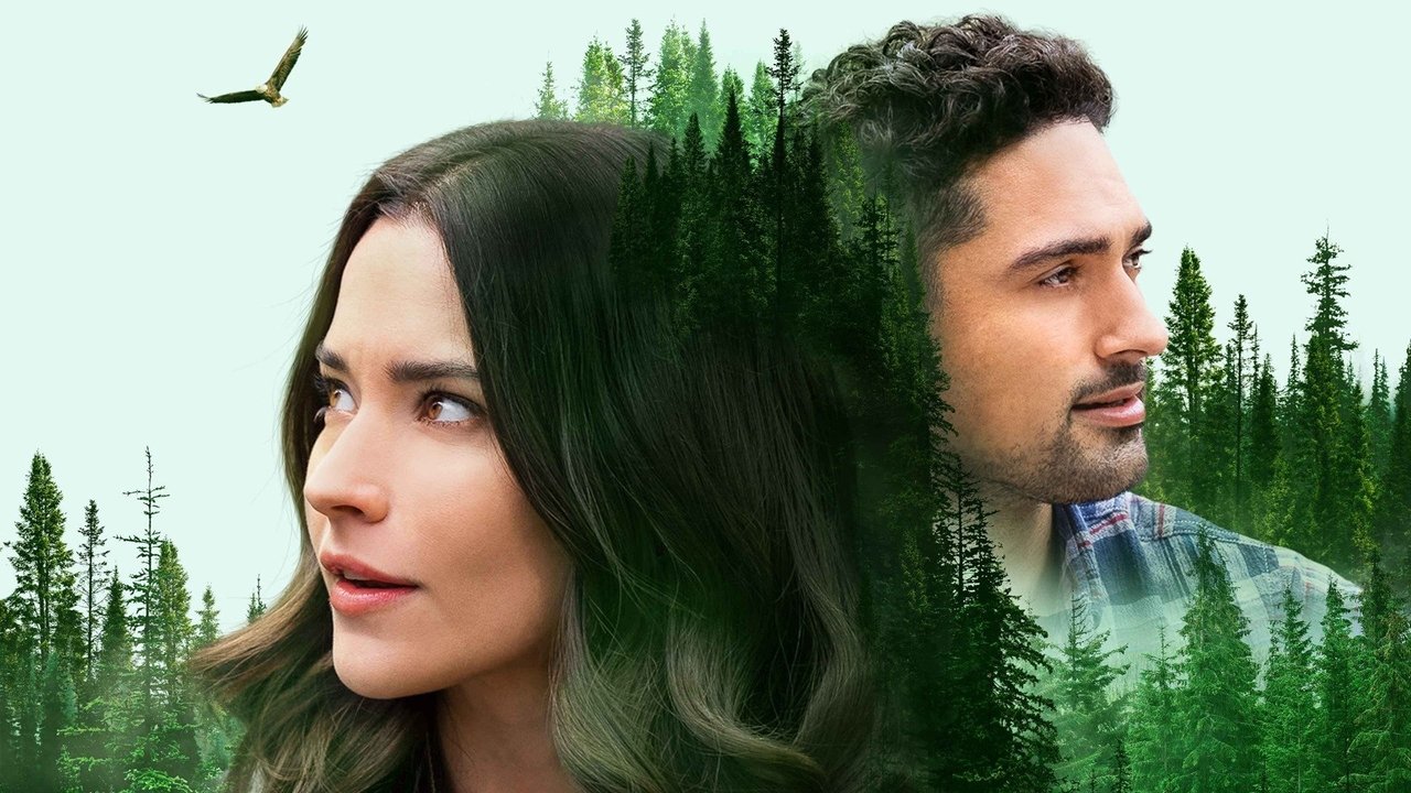 Podróż mojego serca