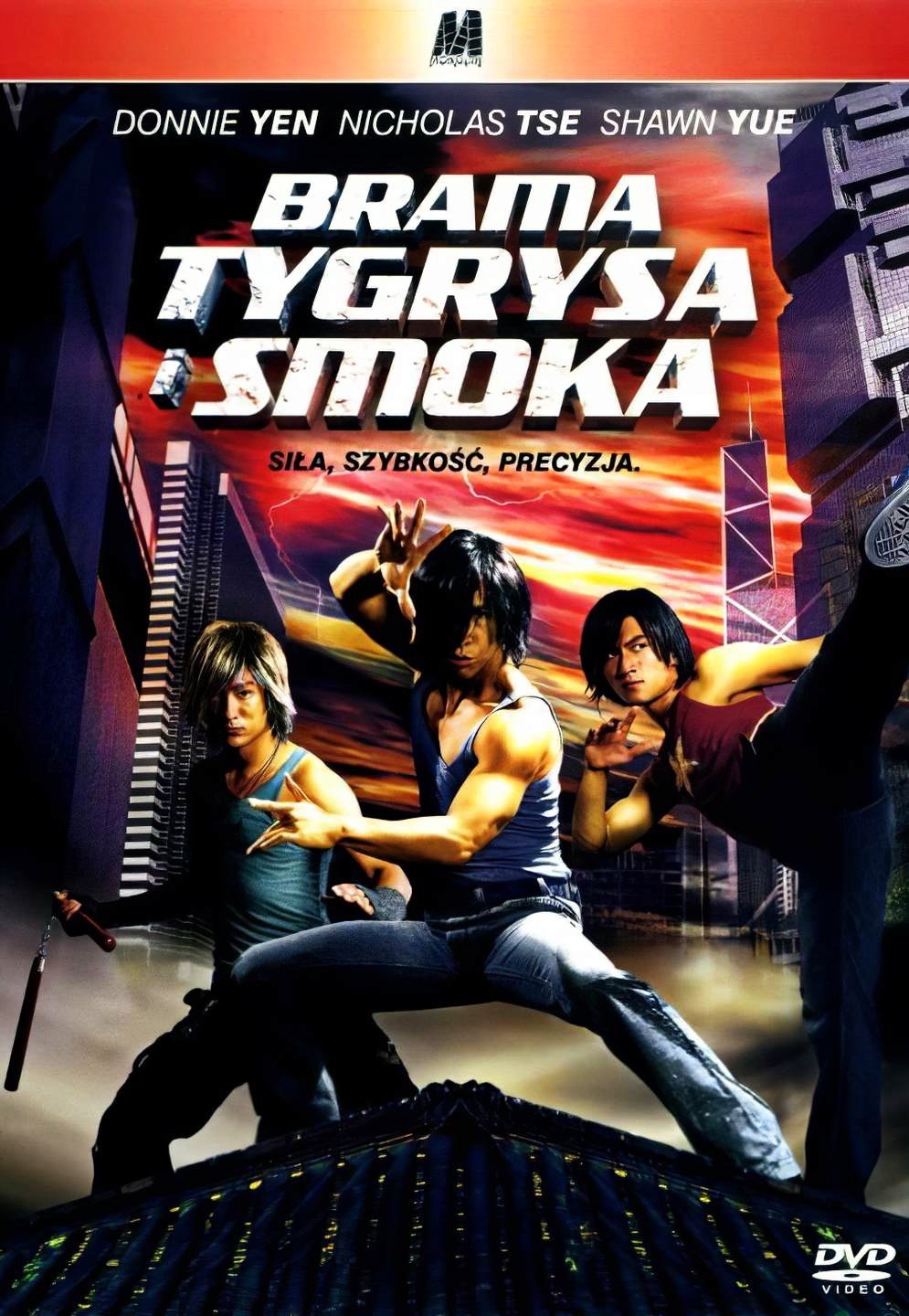 Brama Tygrysa i Smoka 2006 cały film