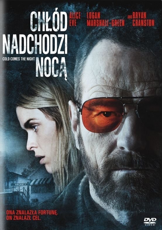 Chłód nadchodzi nocą 2013 cały film