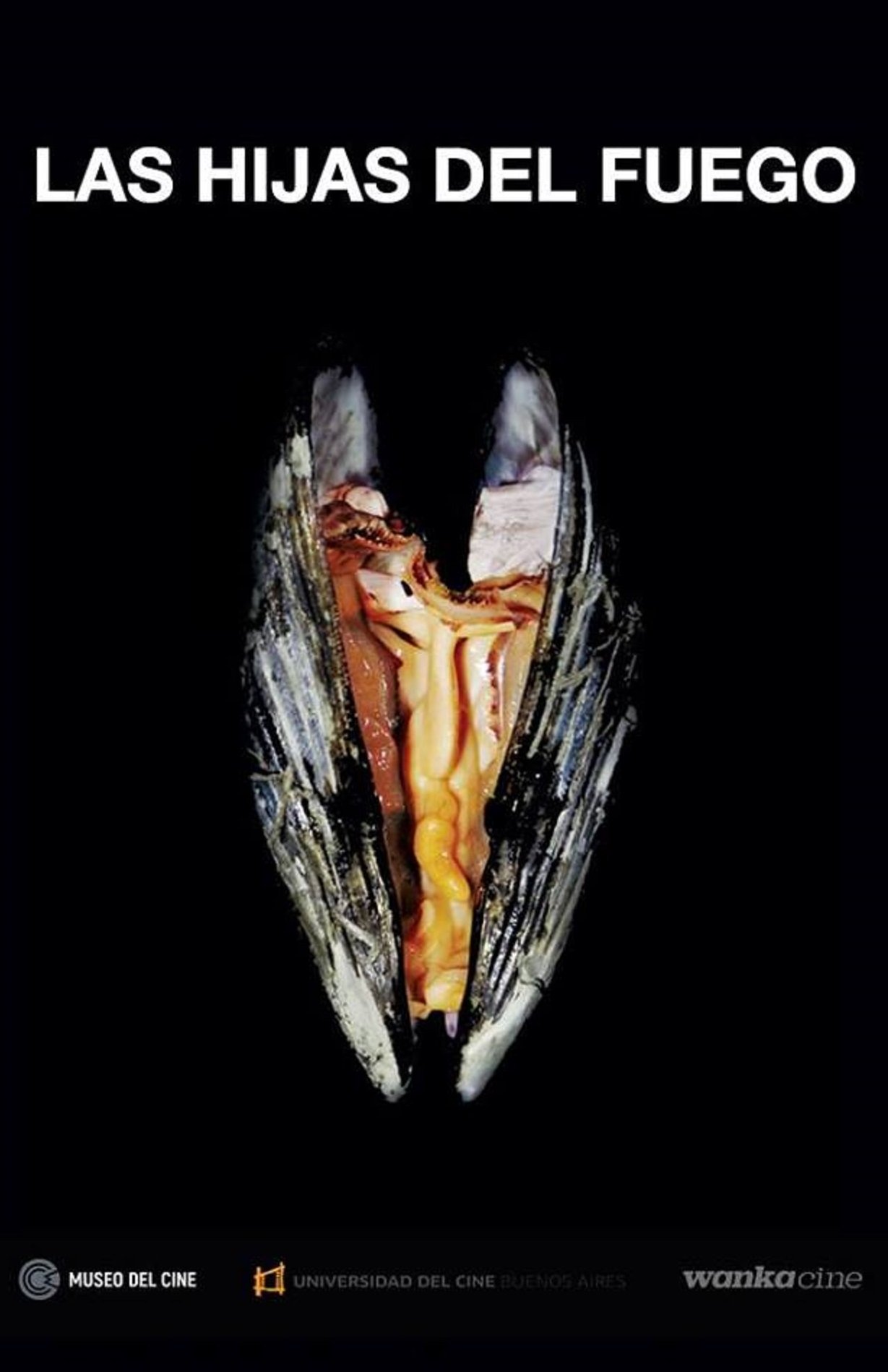 Córki ognia 2018 cały film