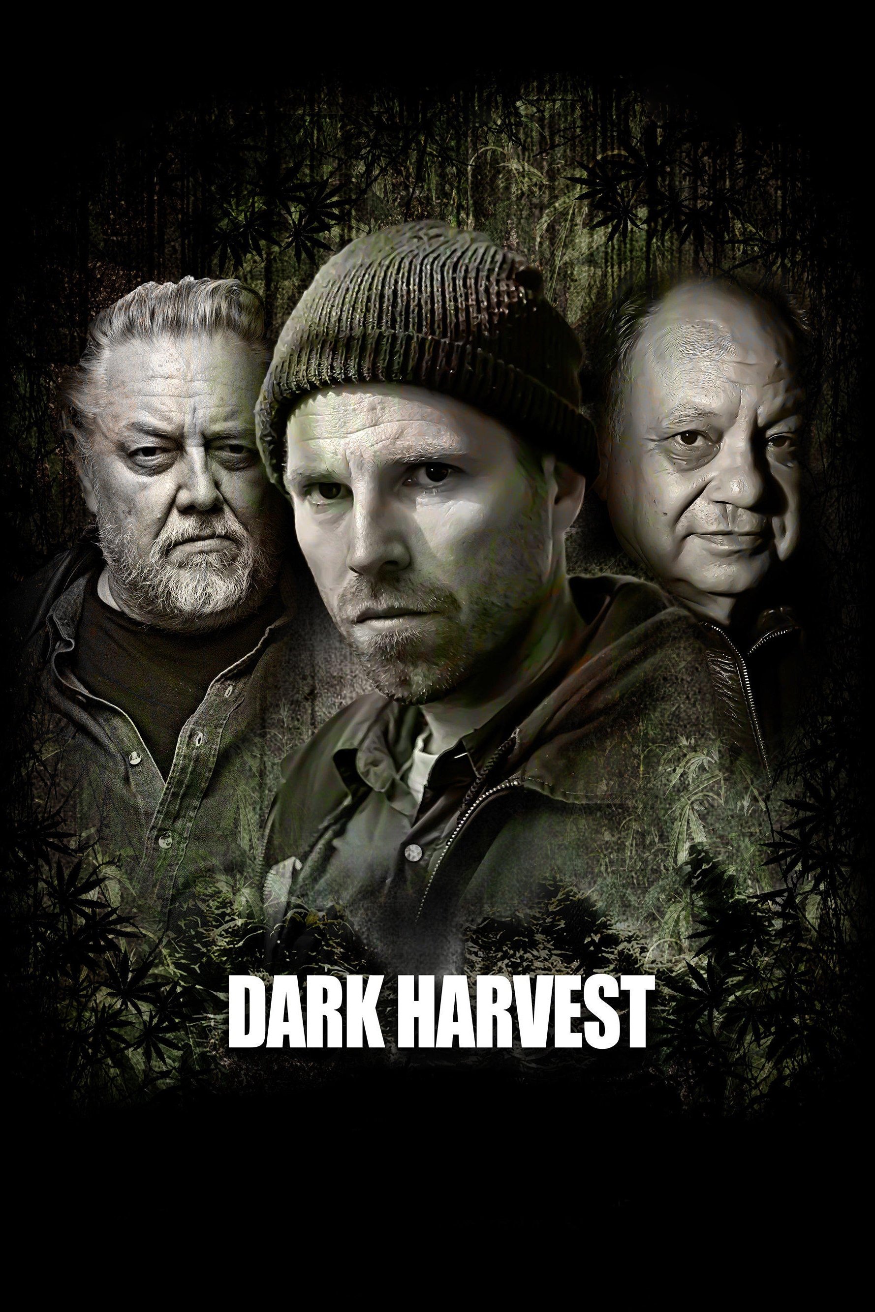Dark Harvest 2016 cały film