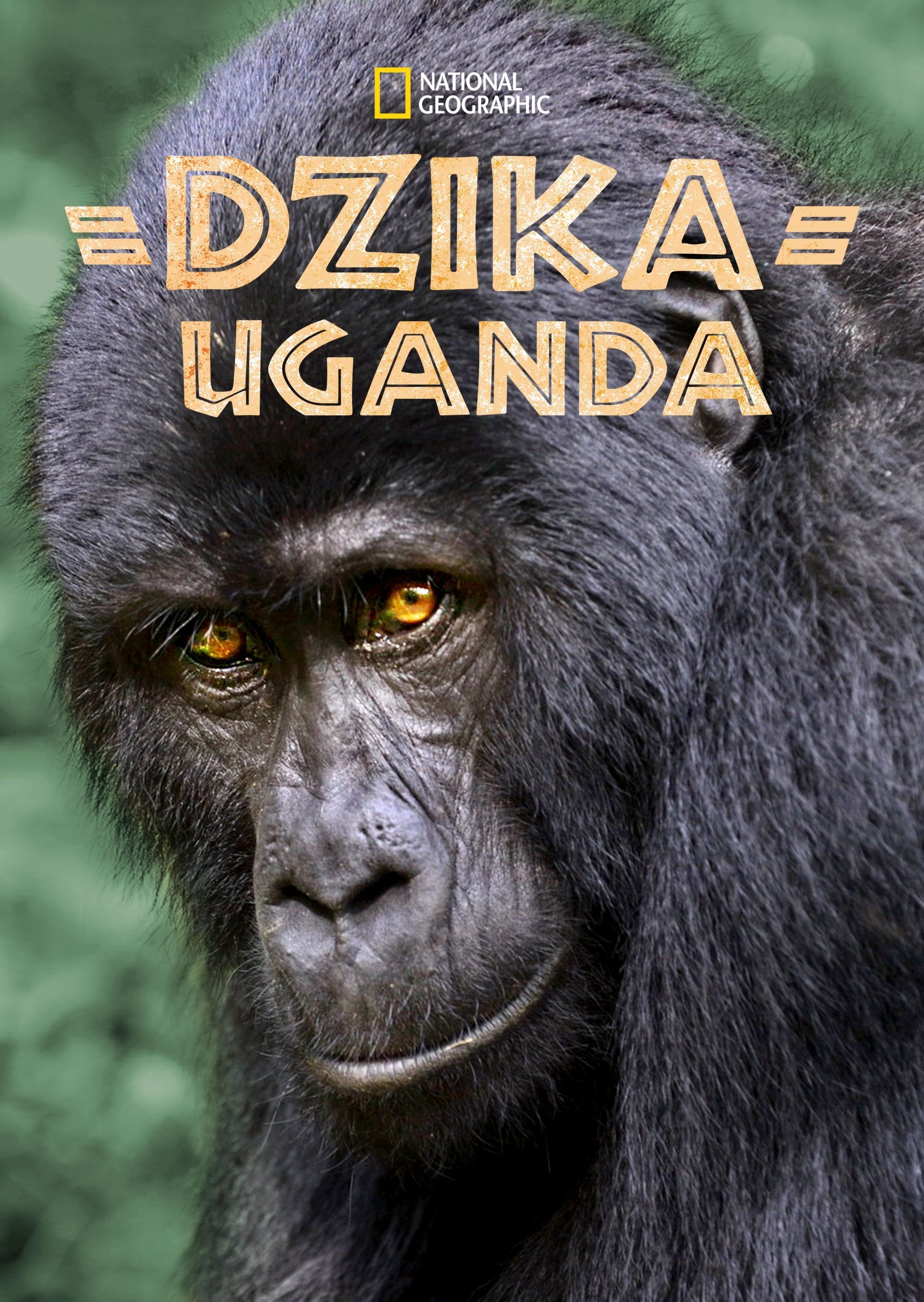 Dzika Uganda 2018 cały film