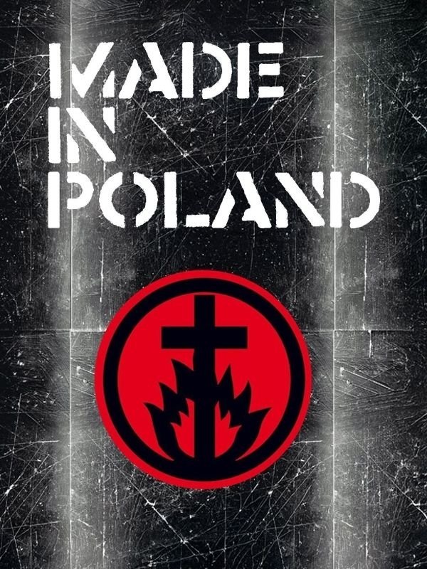 Made in Poland 2010 cały film