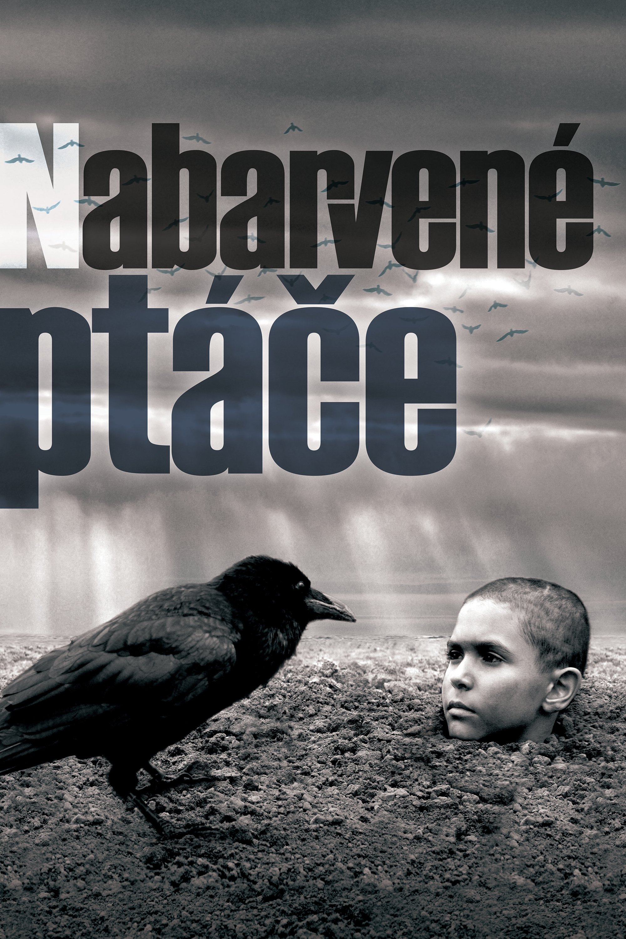 Malowany ptak 2019 cały film