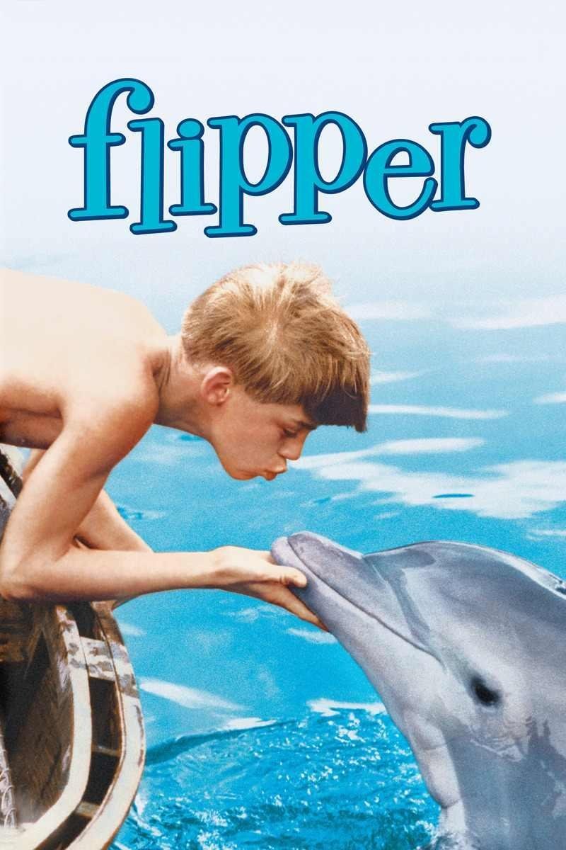Mój przyjaciel delfin 1963 cały film