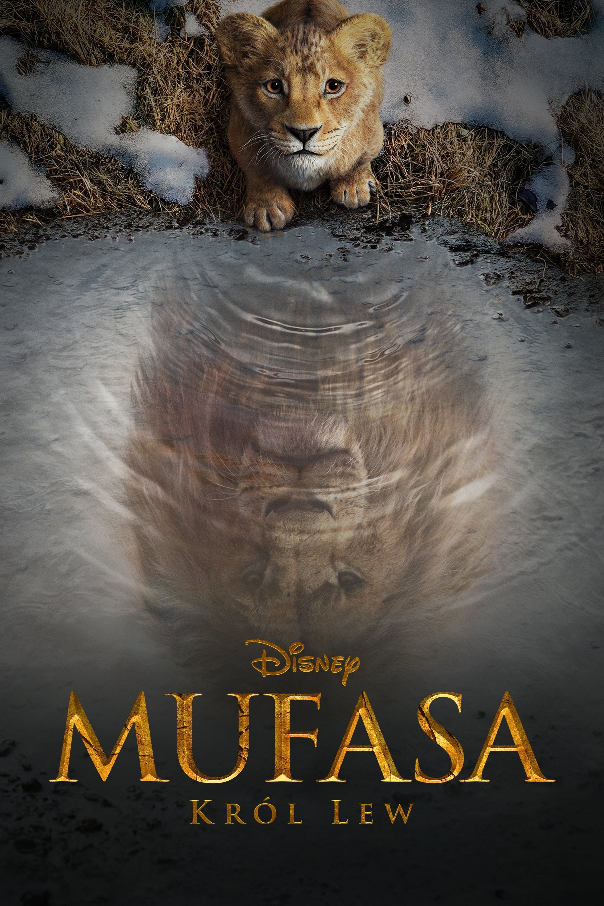 Mufasa: Król Lew 2024 cały film