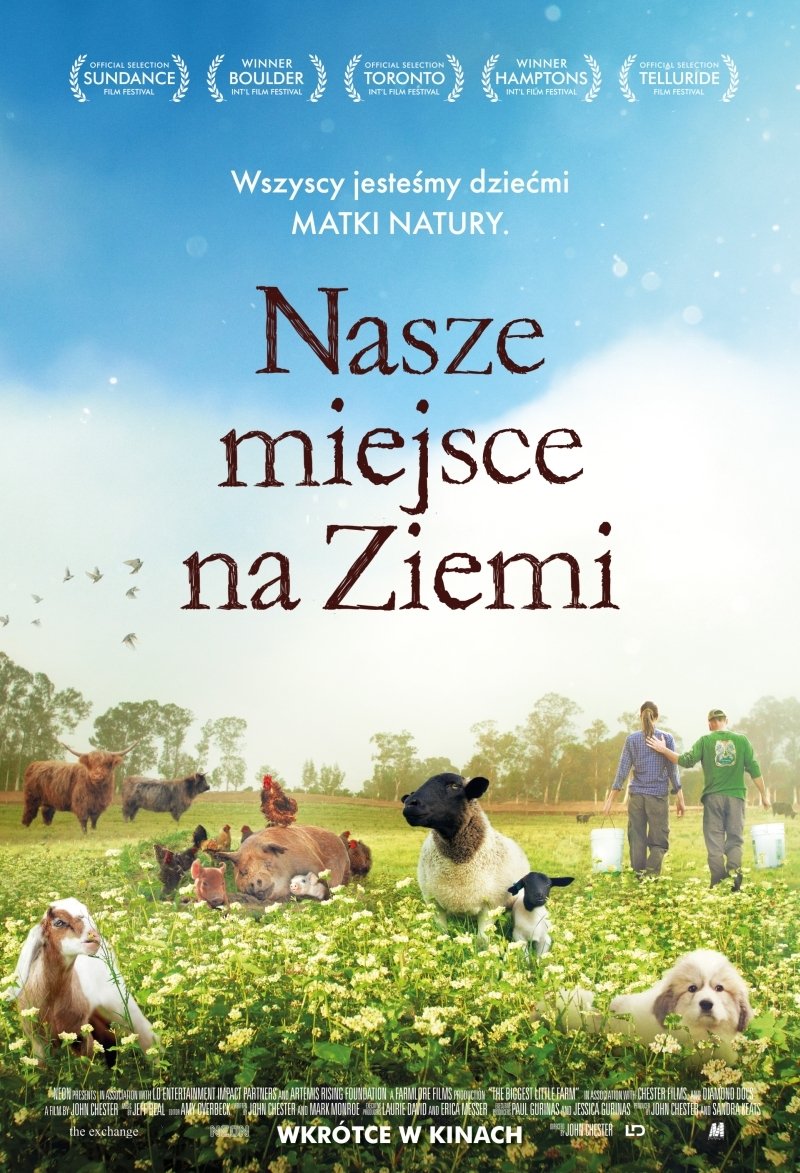 Nasze miejsce na Ziemi 2019 cały film