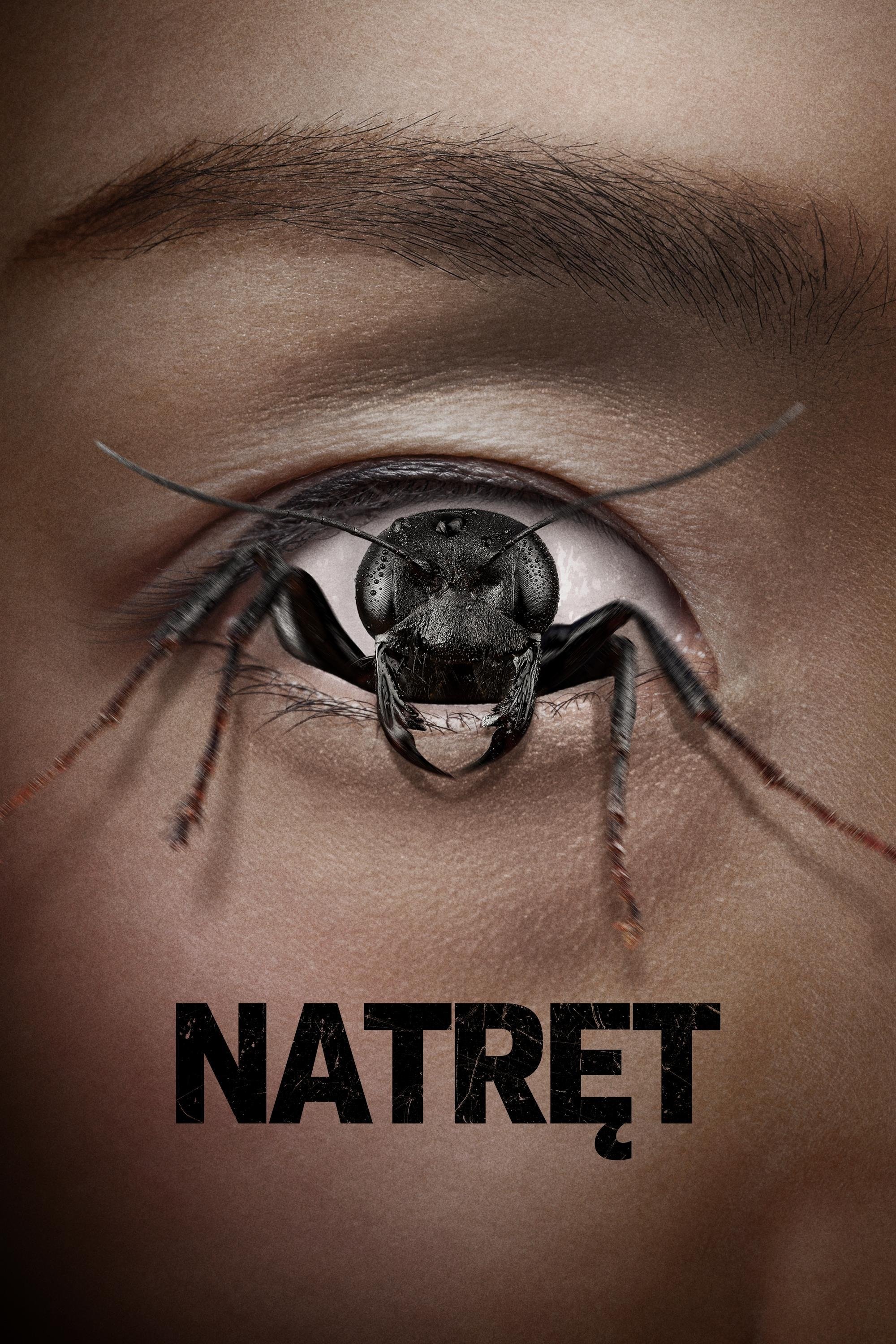 Natręt 2025 cały film