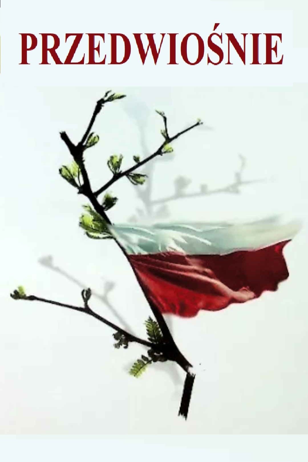 Przedwiośnie 2001 cały film