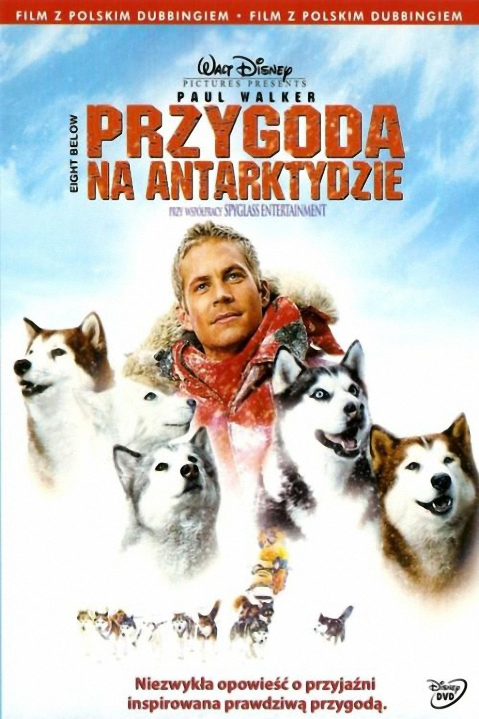 Przygoda na Antarktydzie 2006 cały film