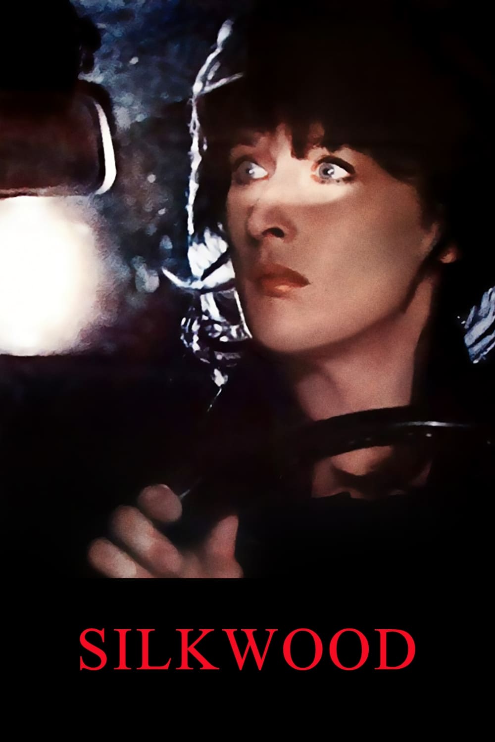 Silkwood 1983 cały film