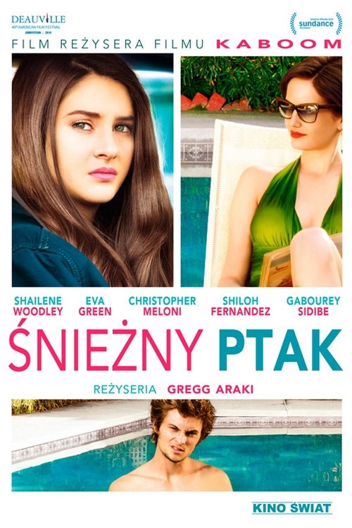 Śnieżny ptak 2014 cały film