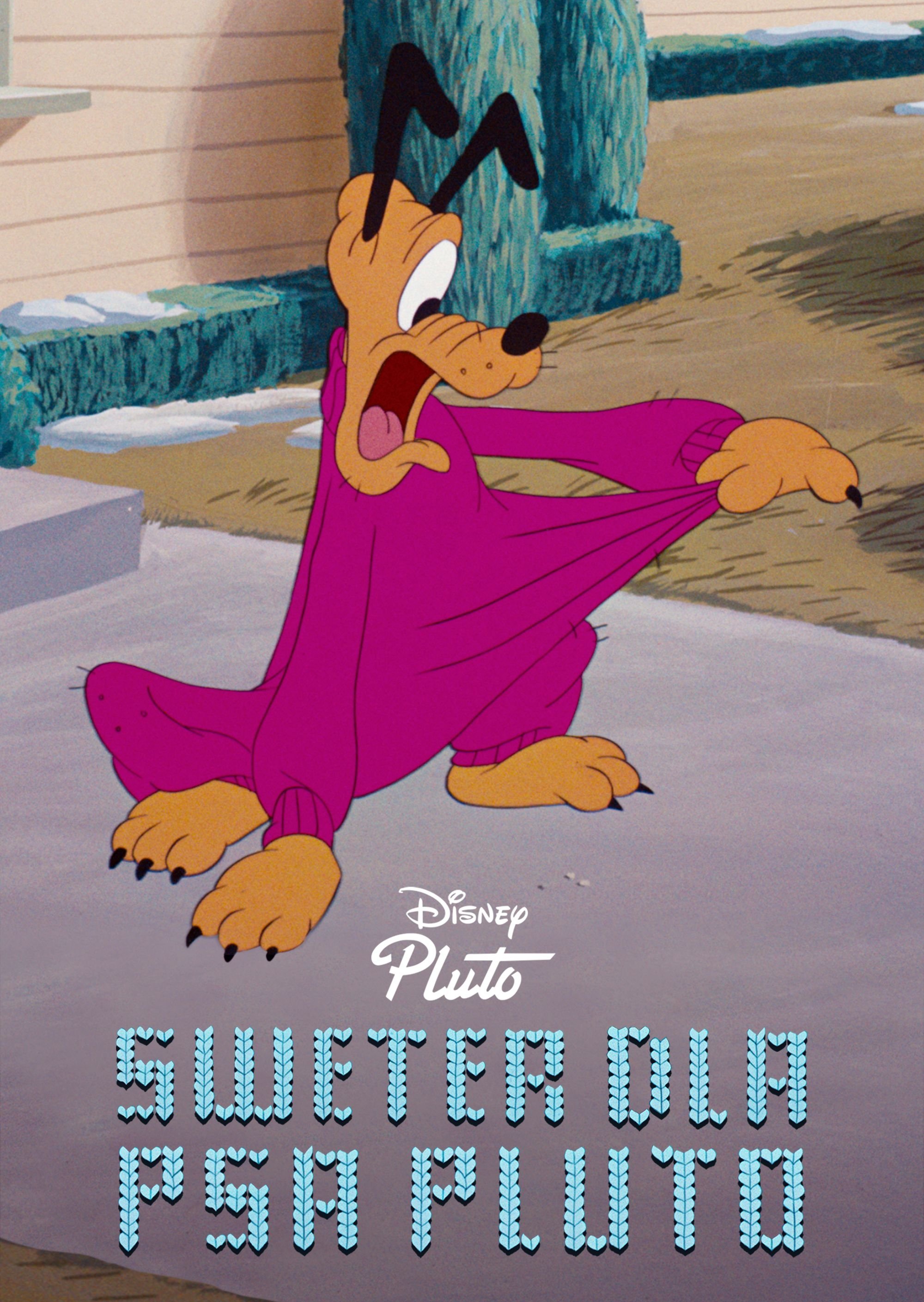 Sweter dla psa Pluto 1949 cały film