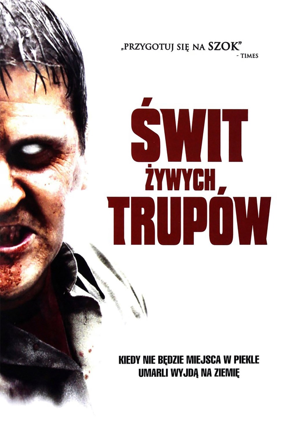 Świt żywych trupów 2004 cały film