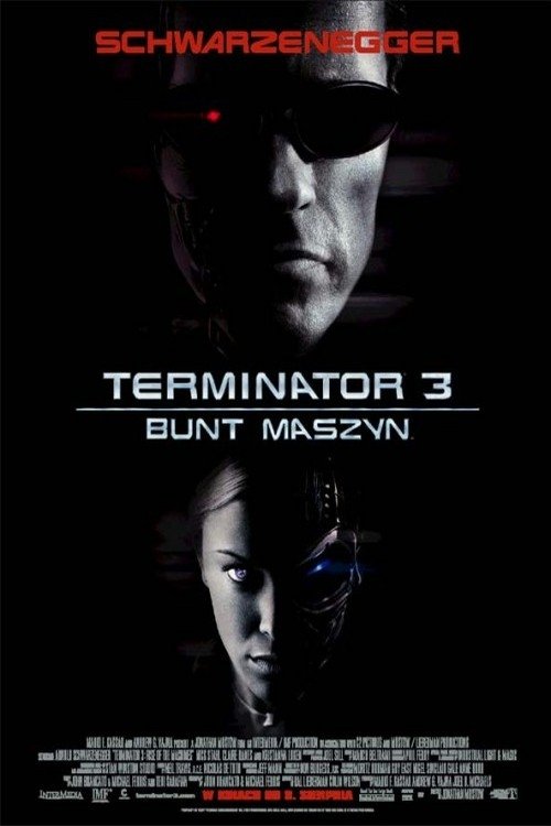 Terminator 3. Bunt maszyn 2003 cały film