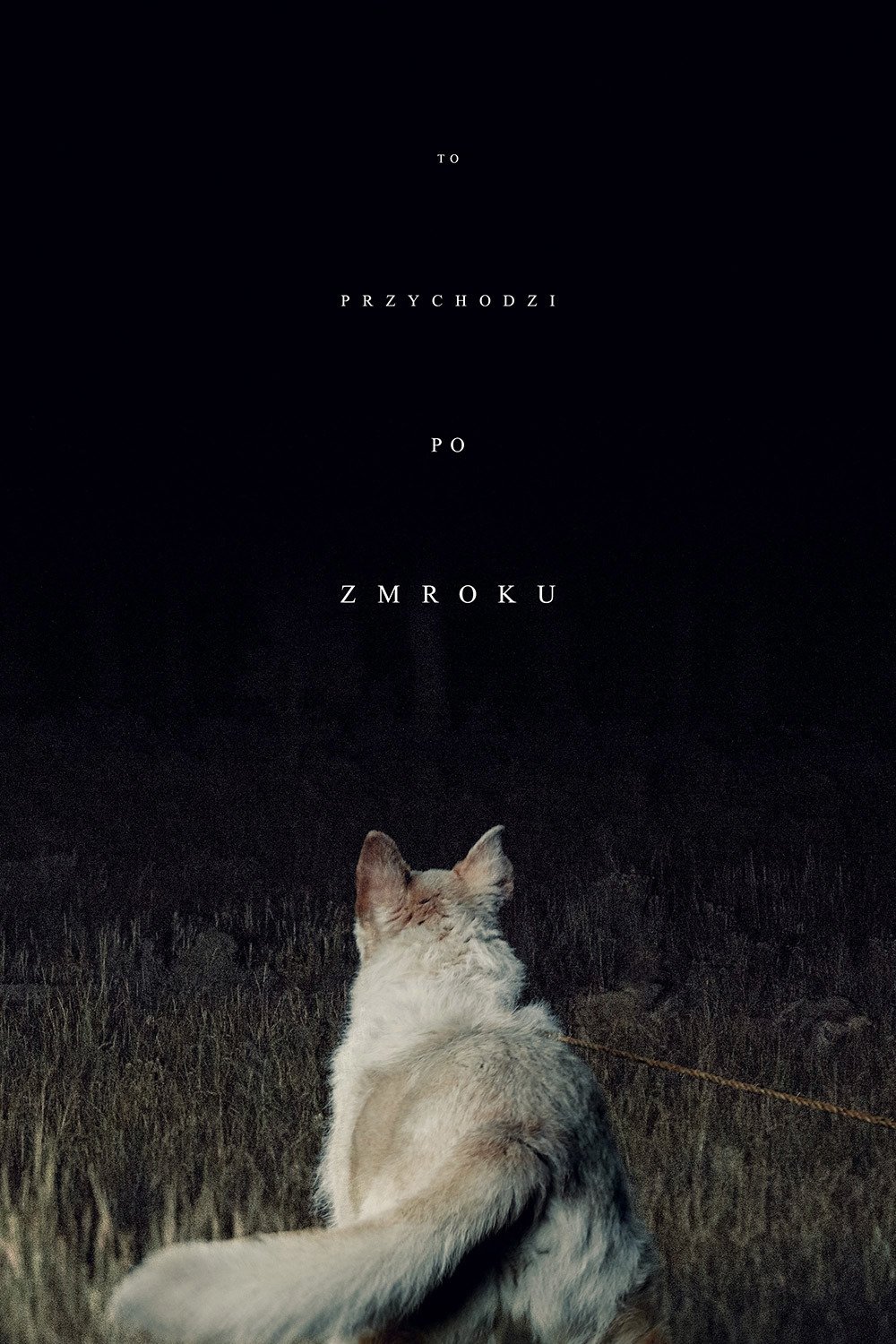 To przychodzi po zmroku 2017 cały film