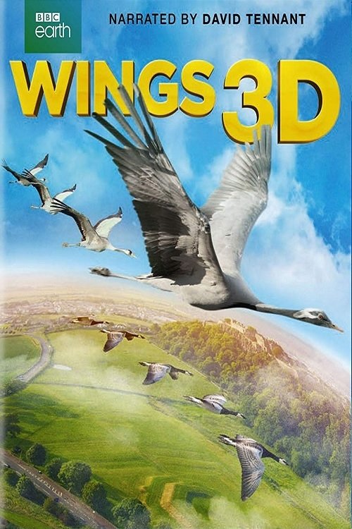Wings 3D 2014 cały film