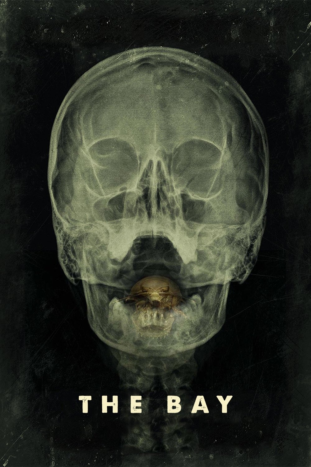 Zatoka 2012 cały film