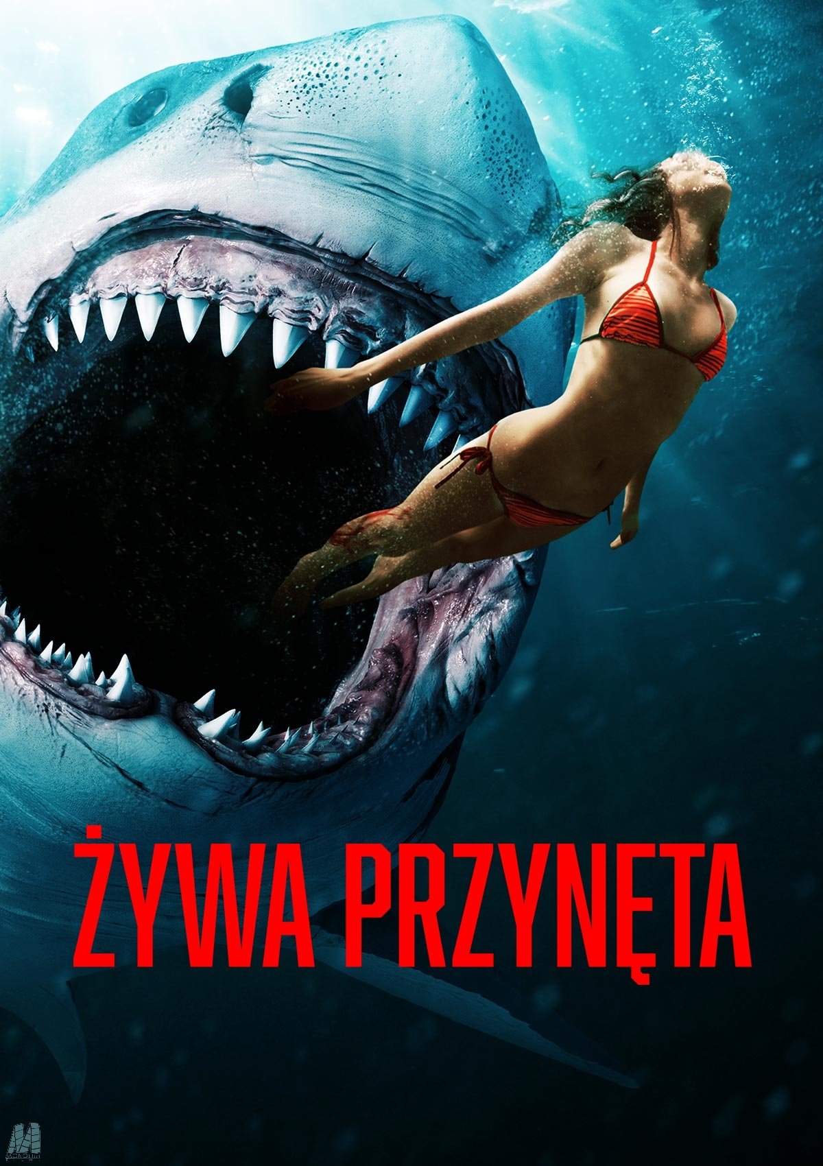 Żywa przynęta 2022 cały film