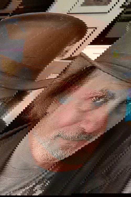 David Silverman całe filmy